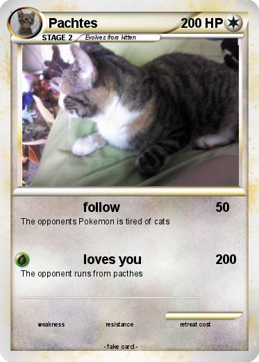 Pokemon Pachtes