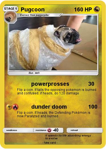 Pokemon Pugcoon