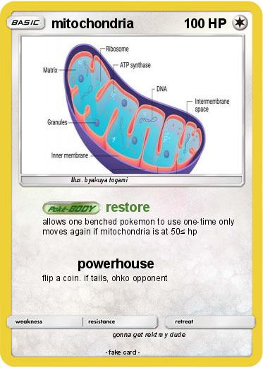 Pokemon mitochondria