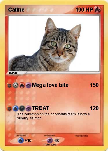 Pokemon Catine