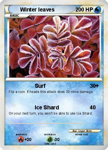 Pokemon Winter leaves