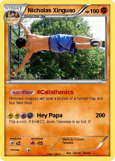 Pokemon Nicholas Xinguao