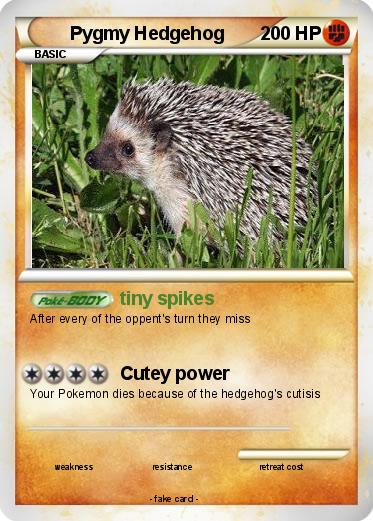Pokemon Pygmy Hedgehog