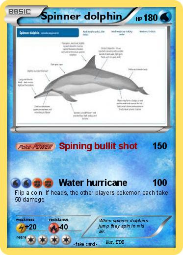 Pokemon Spinner dolphin