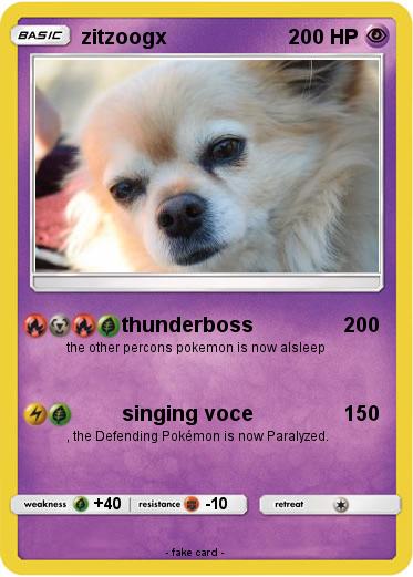 Pokemon zitzoogx