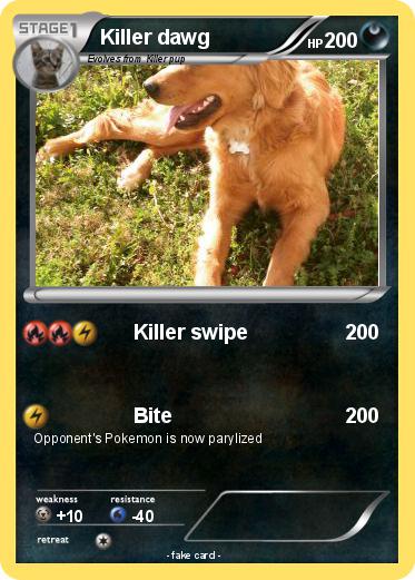 Pokemon Killer dawg