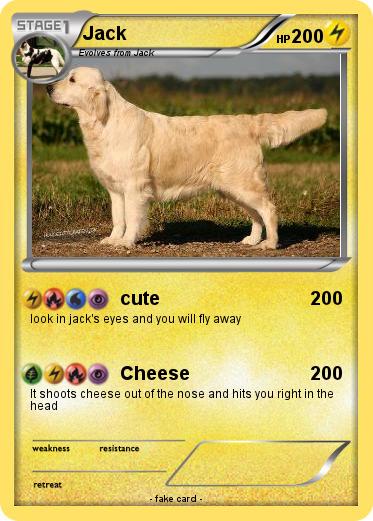 Pokemon Jack