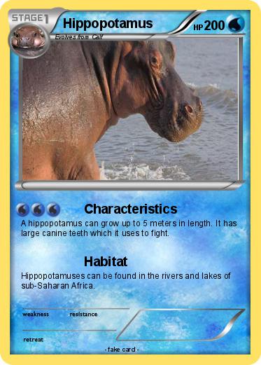 Pokemon Hippopotamus
