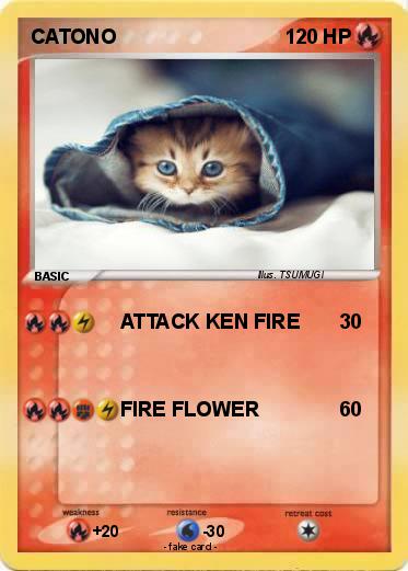 Pokemon CATONO