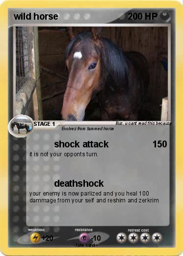 Pokemon wild horse