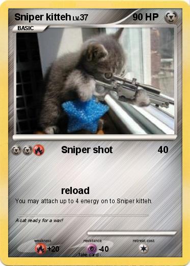 Pokemon Sniper kitteh