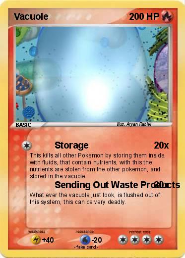 Pokemon Vacuole