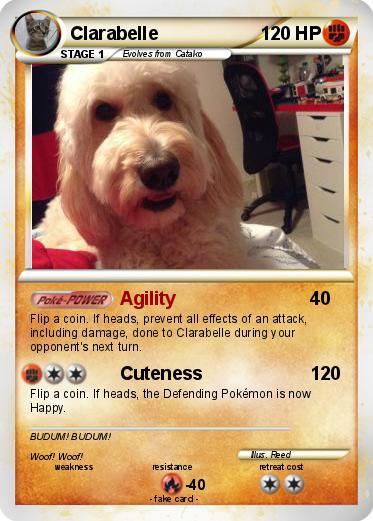 Pokemon Clarabelle