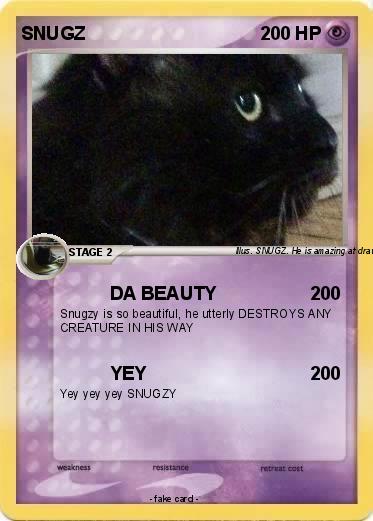 Pokemon SNUGZ