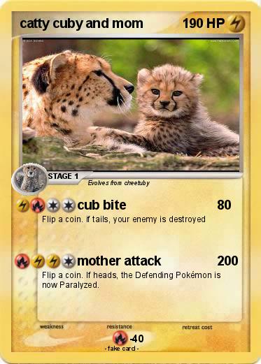 Pokemon catty cuby and mom