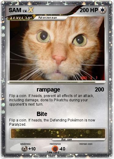 Pokemon SAM