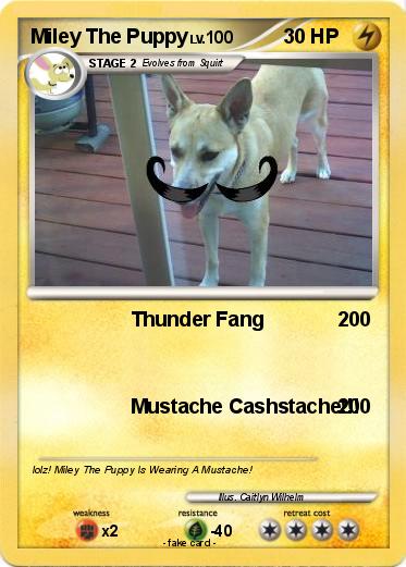 Pokemon Miley The Puppy