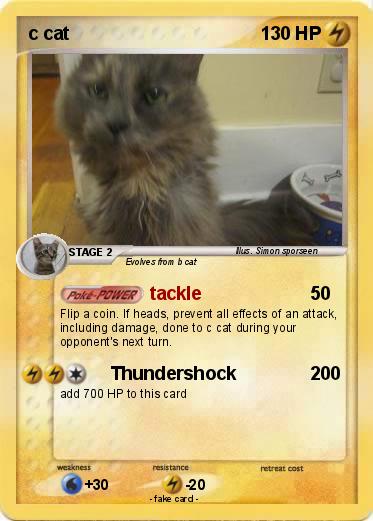 Pokemon c cat