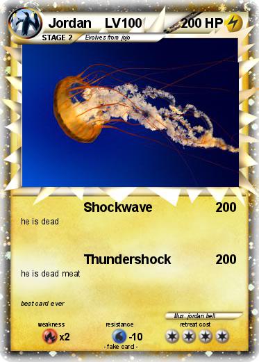 Pokemon Jordan    LV100