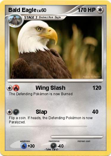 Pokemon Bald Eagle