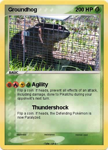 Pokemon Groundhog
