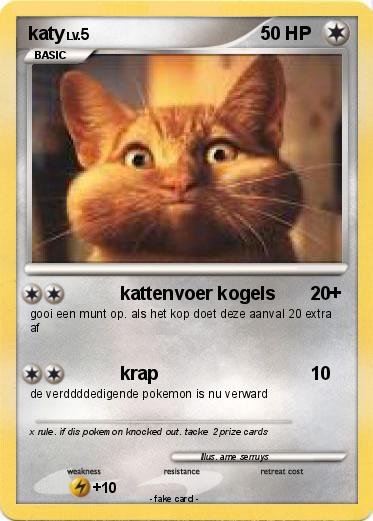 Pokemon katy
