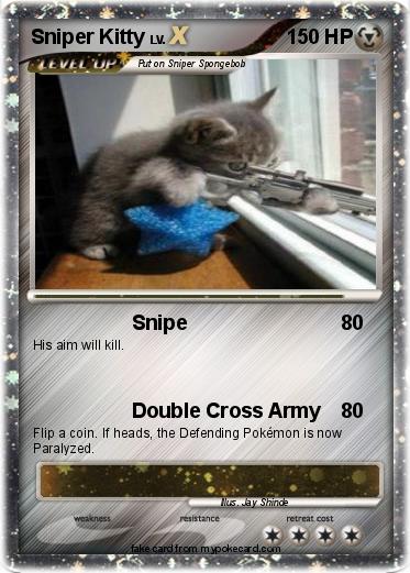 Pokemon Sniper Kitty