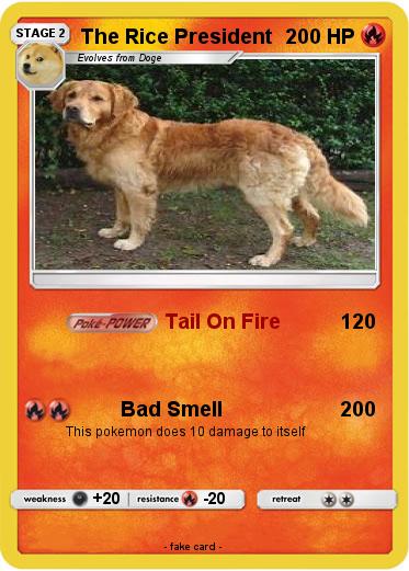 Pokemon The Rice President
