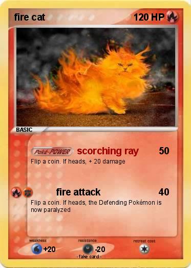 Pokemon fire cat