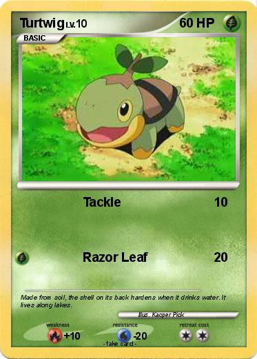 Pokemon Turtwig