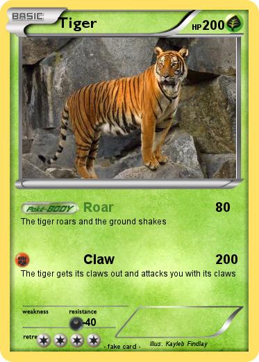 Pokemon Tiger