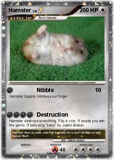 Pokemon Hamster