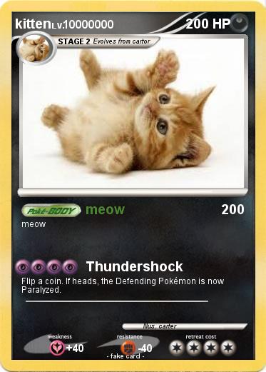 Pokemon kitten