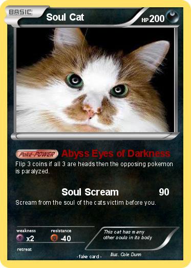 Pokemon Soul Cat