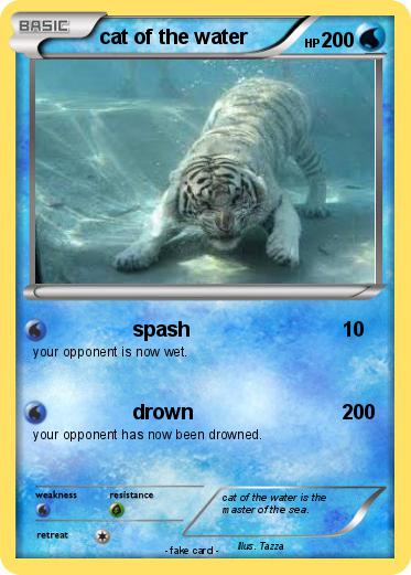 Pokemon cat of the water