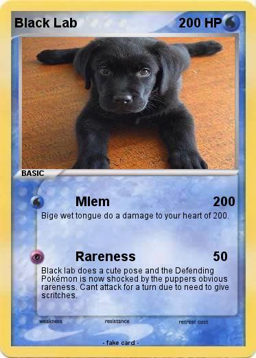 Pokemon Black Lab