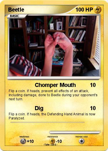 Pokemon Beetle