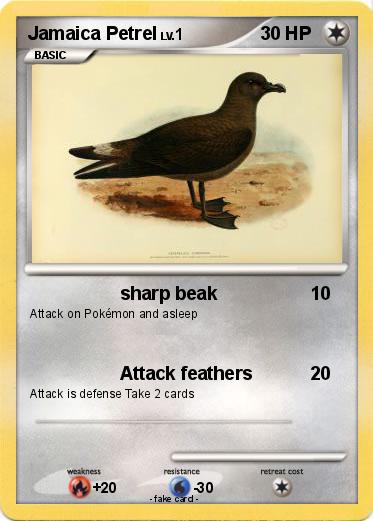 Pokemon Jamaica Petrel