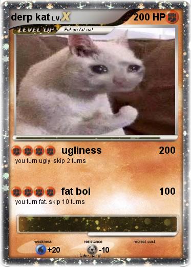Pokemon derp kat