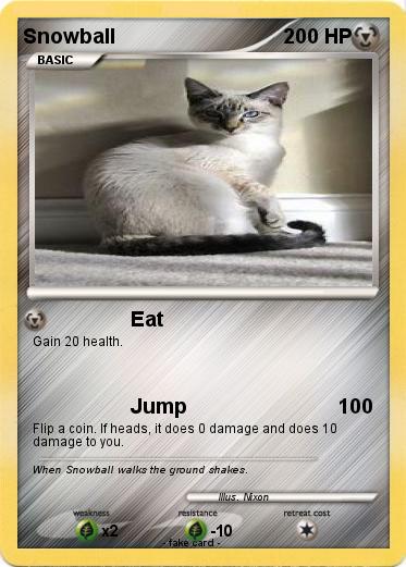 Pokemon Snowball