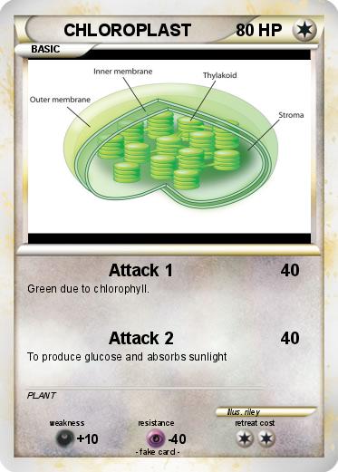 Pokemon CHLOROPLAST