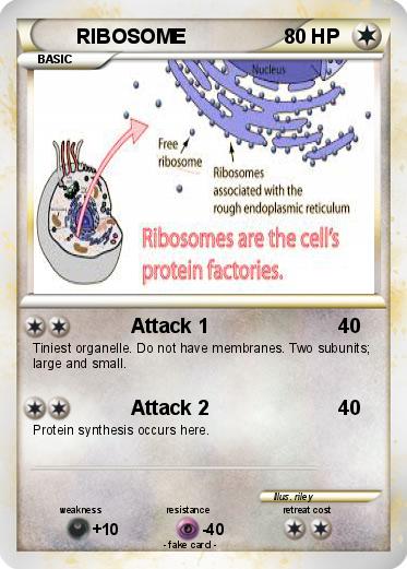 Pokemon RIBOSOME