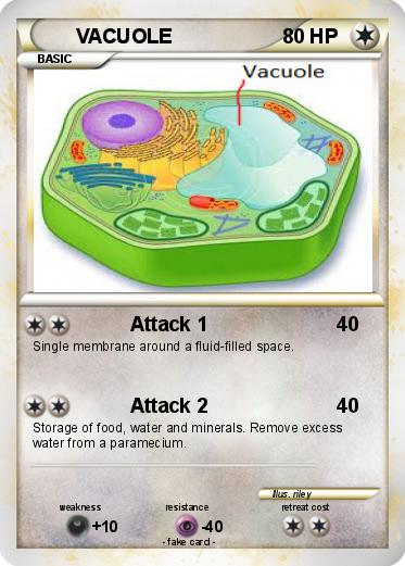 Pokemon VACUOLE