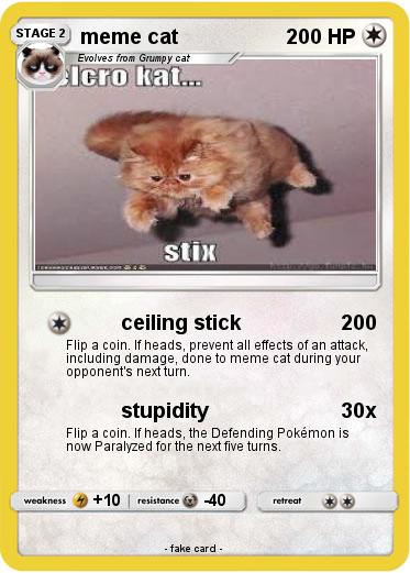Pokemon meme cat