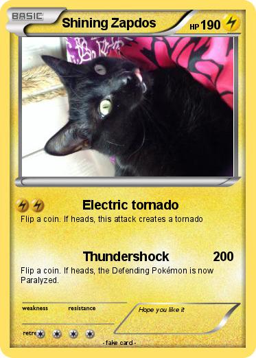 Pokemon Shining Zapdos