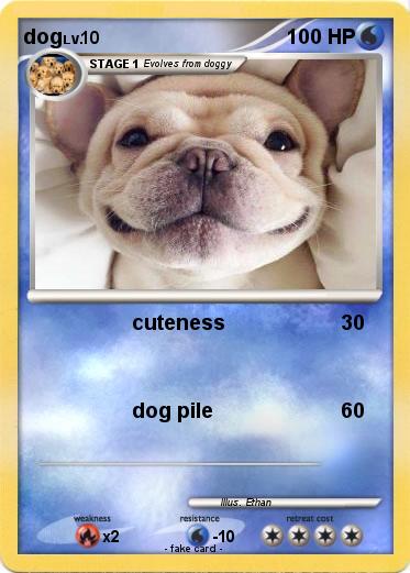 Pokemon dog