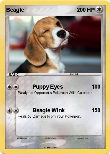Pokemon Beagle