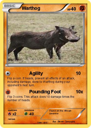 Pokemon Warthog