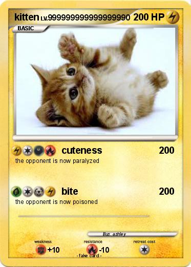 Pokemon kitten