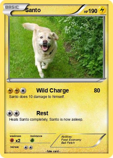 Pokemon Santo
